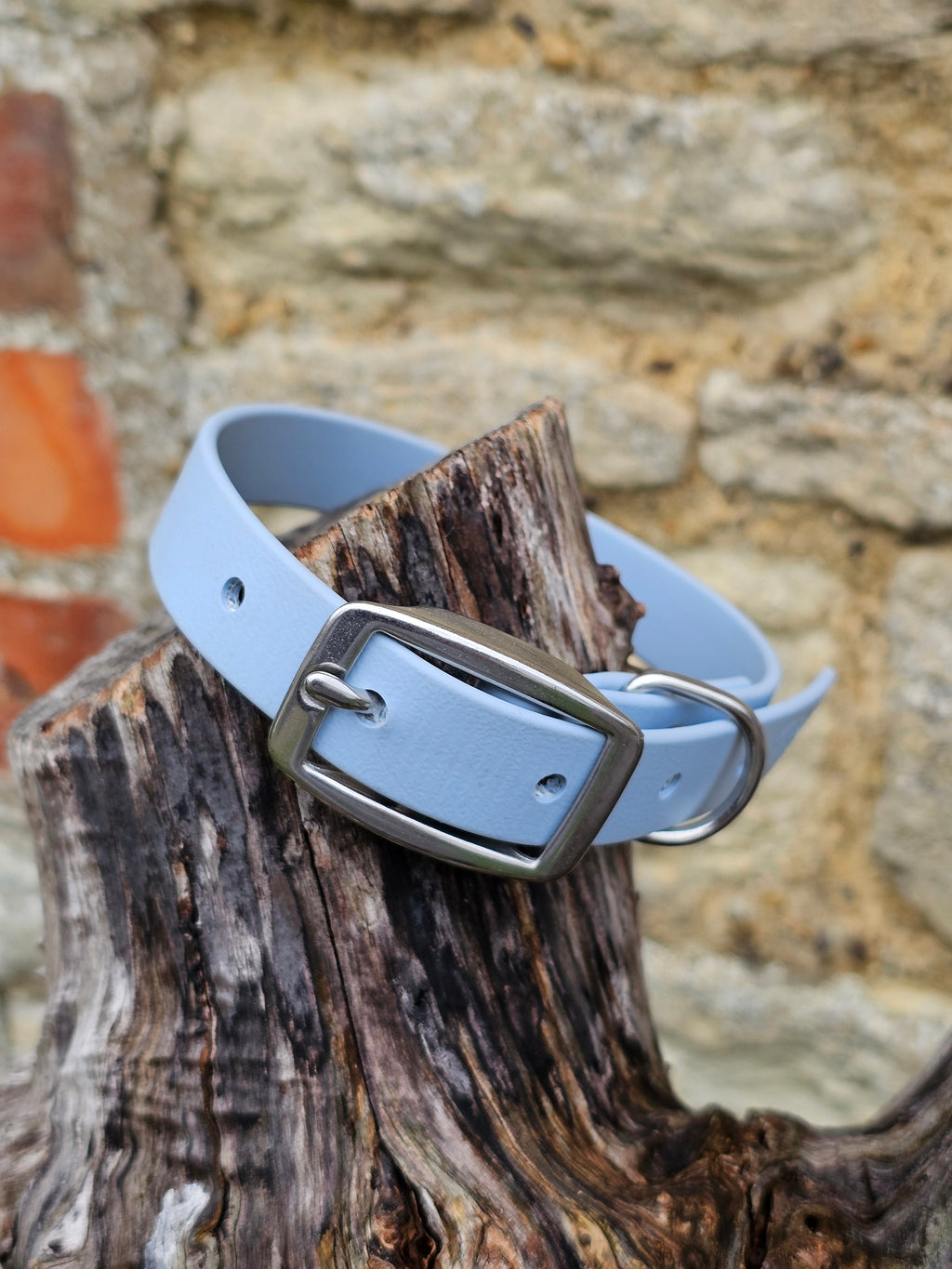 Pastel Blue - Everlast Waterproof BioThane© Dog Collar