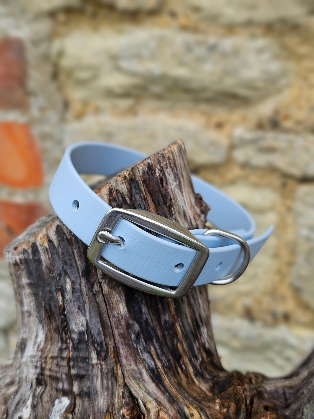 Pastel Blue - Everlast Waterproof BioThane© Dog Collar