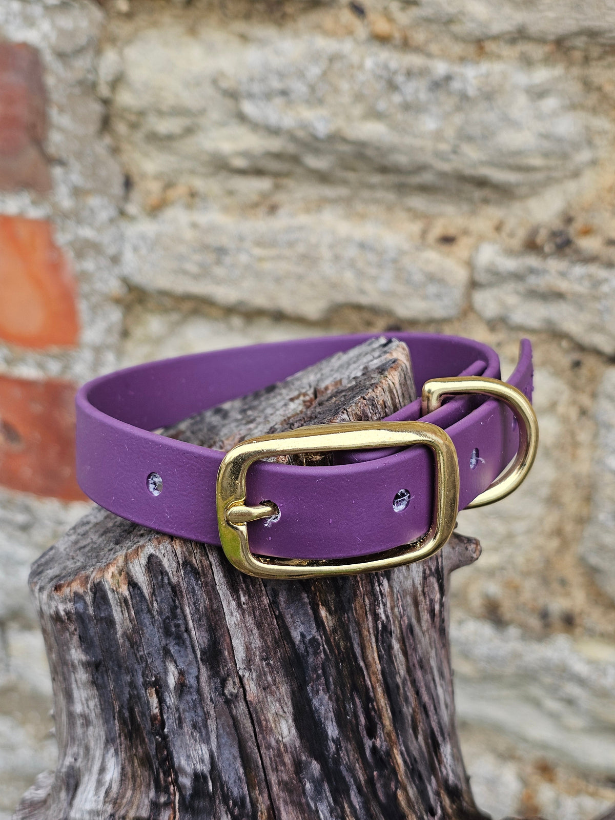 Aubergine - Everlast Waterproof BioThane© Dog Collar
