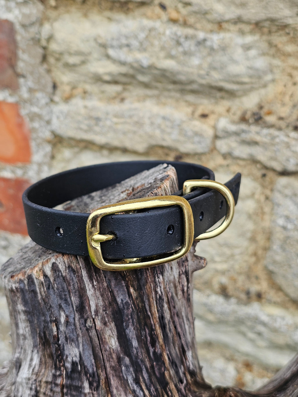 Black - Everlast Waterproof BioThane© Dog Collar