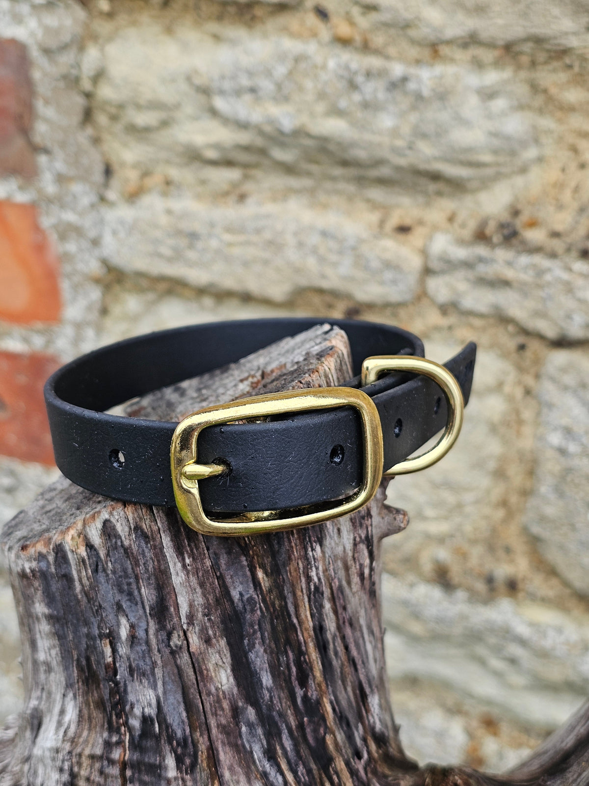 Black - Everlast Waterproof BioThane© Dog Collar