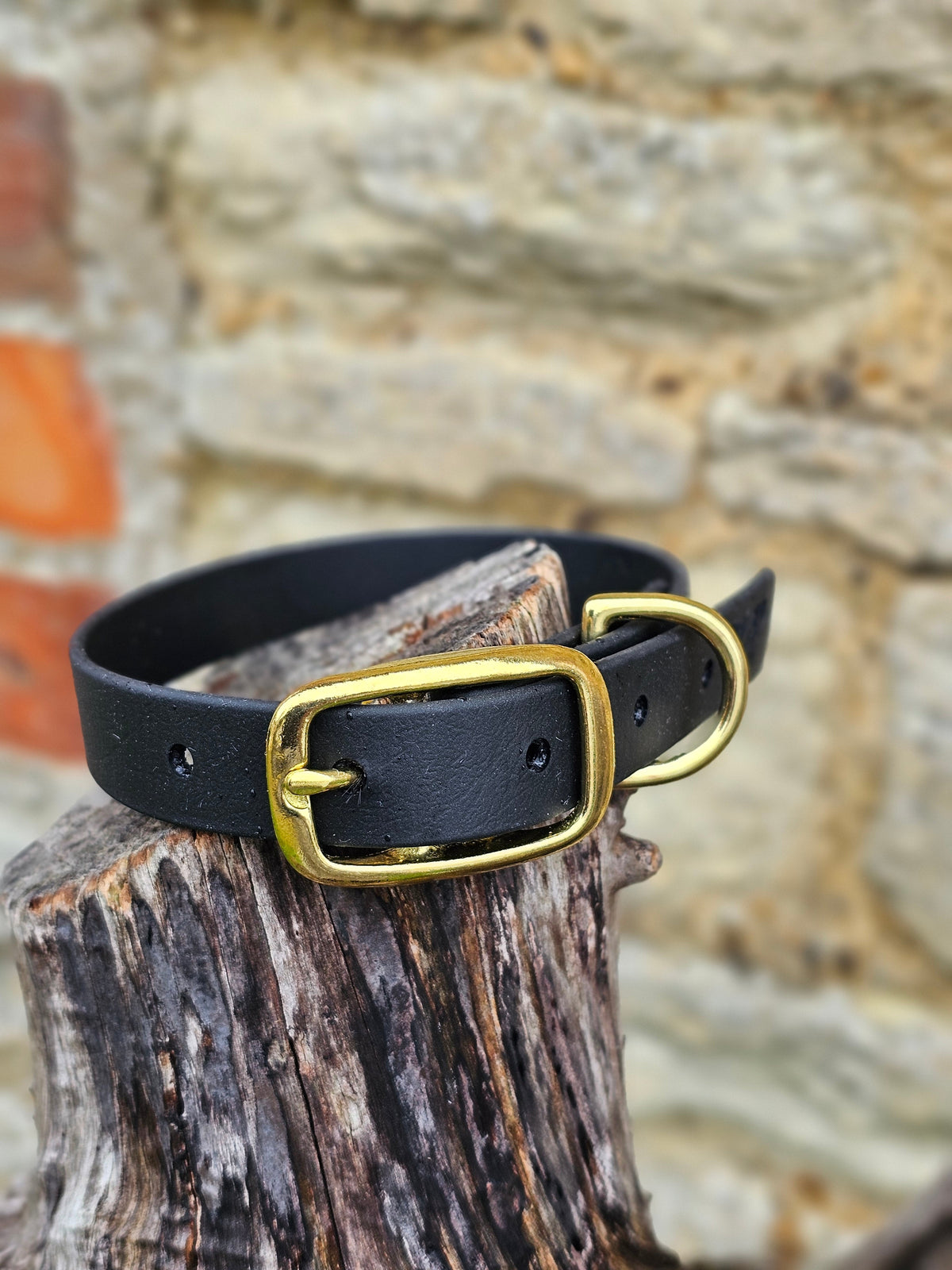 Black - Everlast Waterproof BioThane© Dog Collar