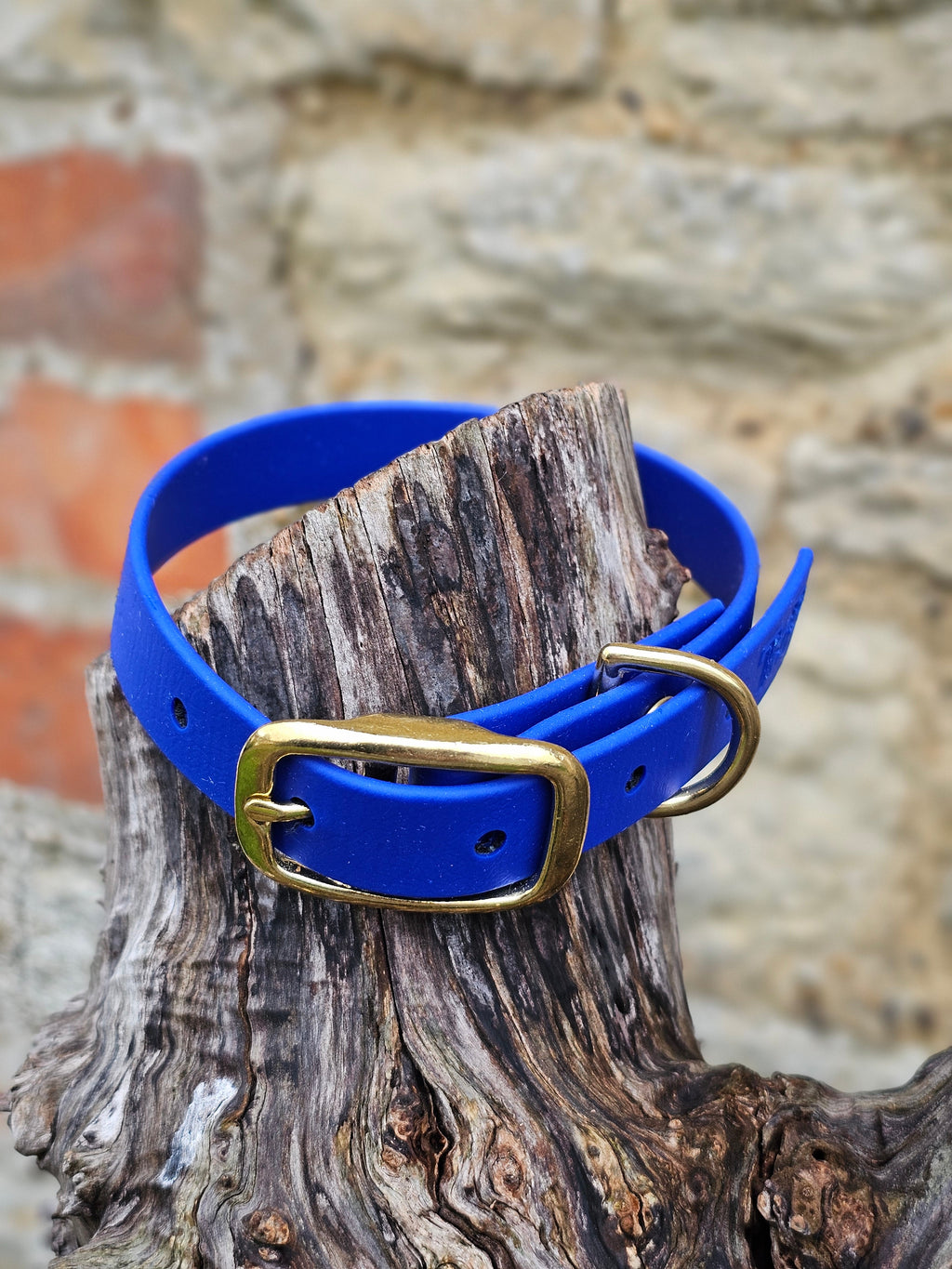 Royal Blue - Everlast Waterproof BioThane© Dog Collar