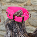 Passion Pink - Waterproof BioThane® Sighthound Collar / wide-fit Dog Collar
