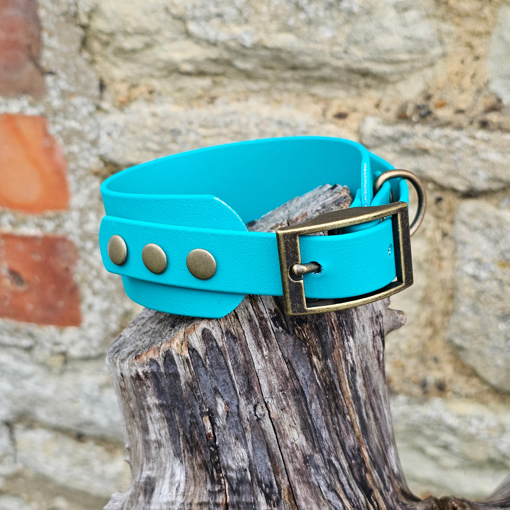 Teal - Waterproof BioThane® Sighthound Collar / wide-fit Dog Collar