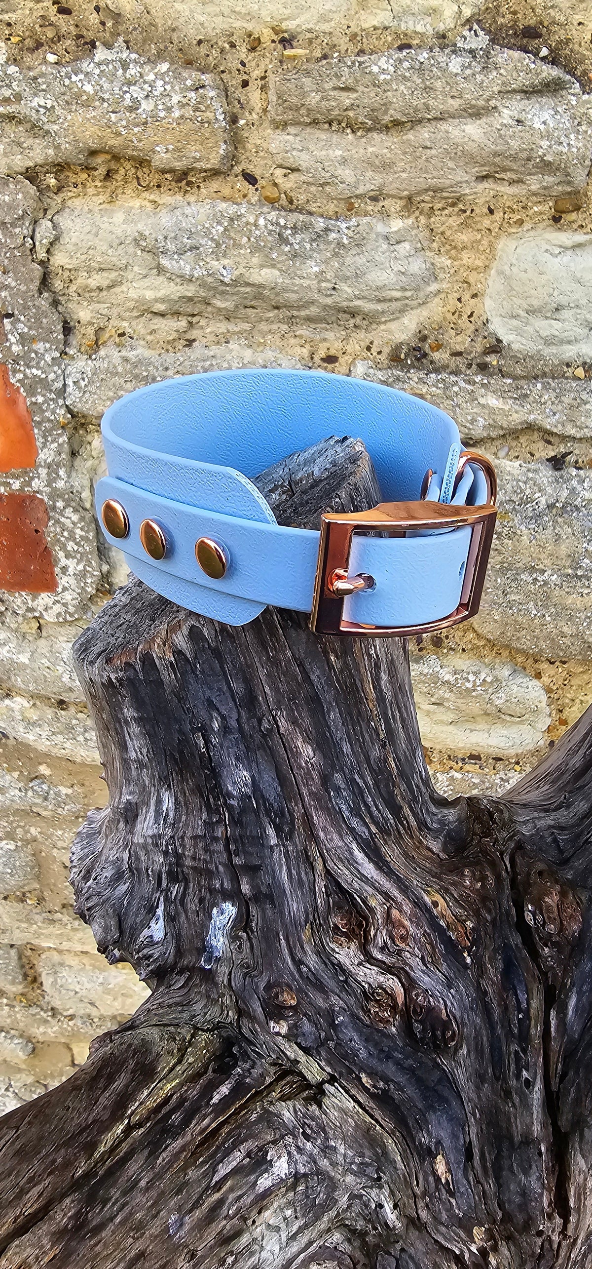 Pastel Blue - Waterproof BioThane® Sighthound Collar / wide-fit Dog Collar