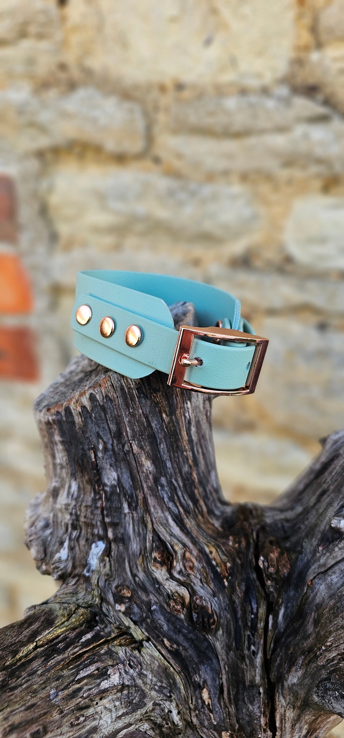 Sage - Waterproof BioThane® Sighthound Collar / wide-fit Dog Collar