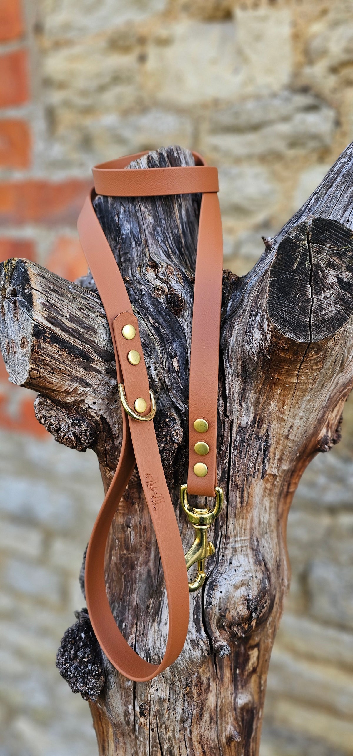 Tan - Everlast Waterproof BioThane© Dog Lead