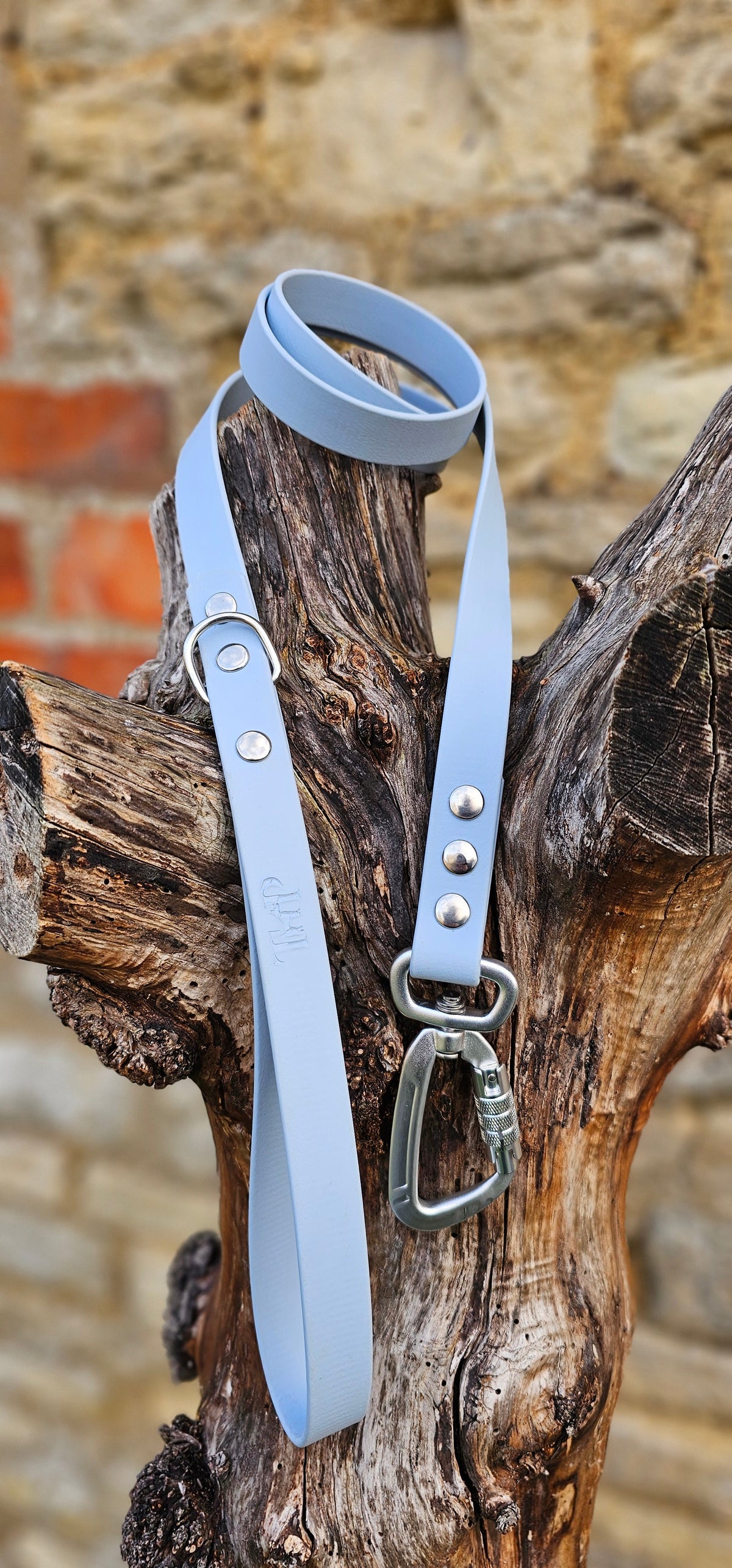 Pastel Blue - Everlast Waterproof BioThane© Dog Lead