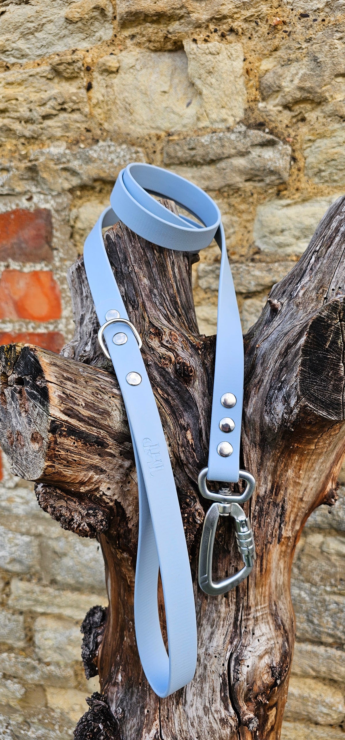 Pastel Blue - Everlast Waterproof BioThane© Dog Lead