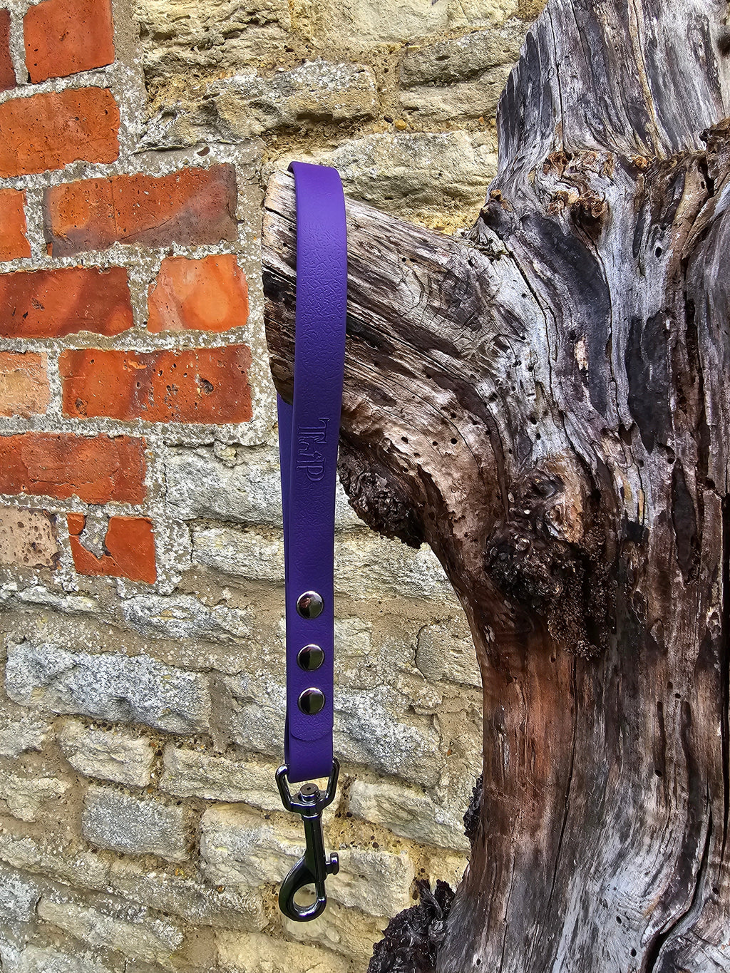 Warm Purple - Classic Waterproof Webbing Short Dog Control Lead / Dog Traffic Handle