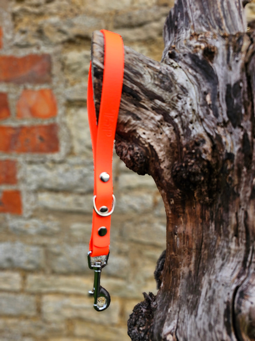Neon Orange - Classic Waterproof Webbing Short Dog Control Lead / Dog Traffic Handle