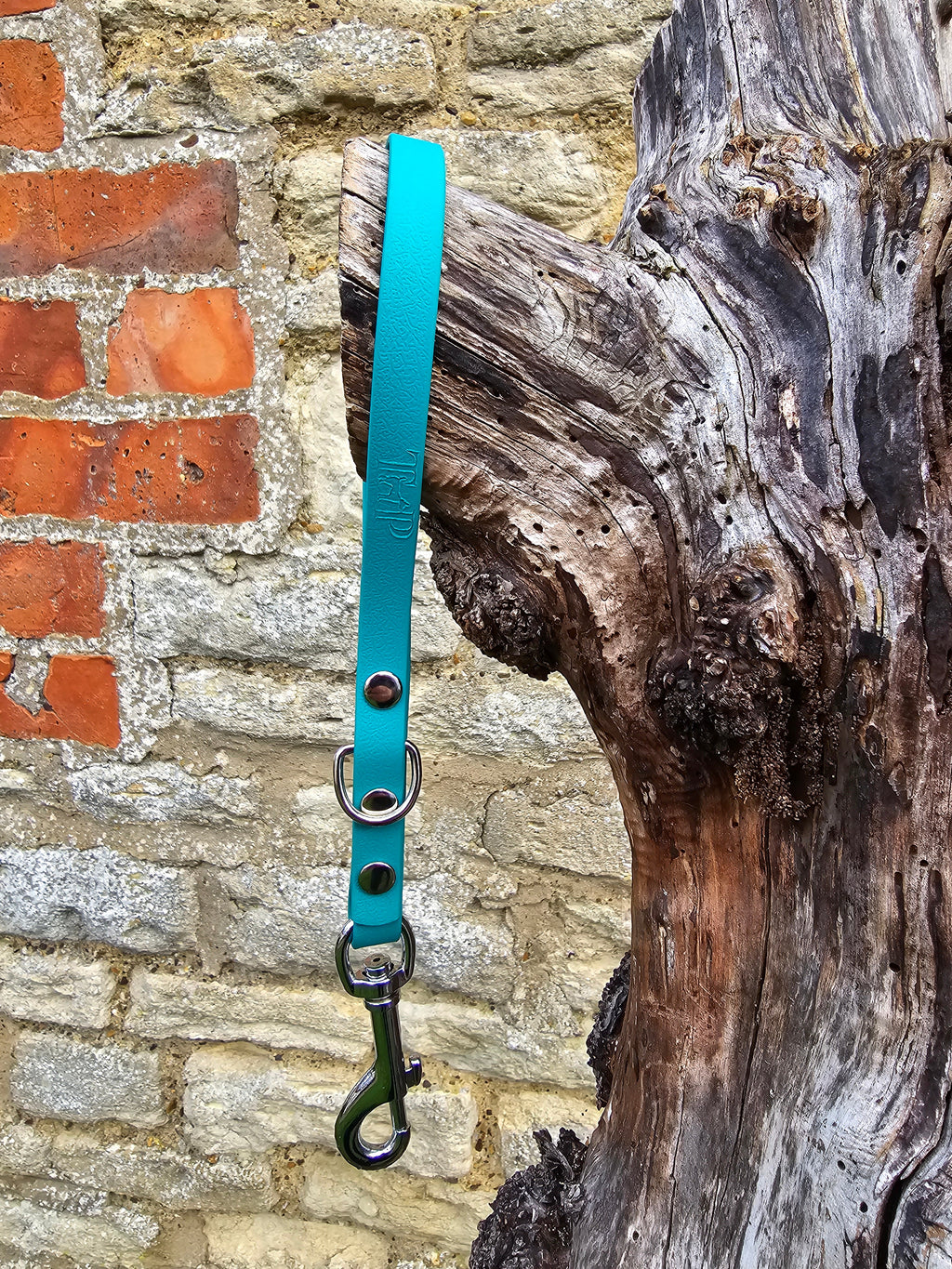 Teal - Classic Waterproof Webbing Short Dog Control Lead / Dog Traffic Handle