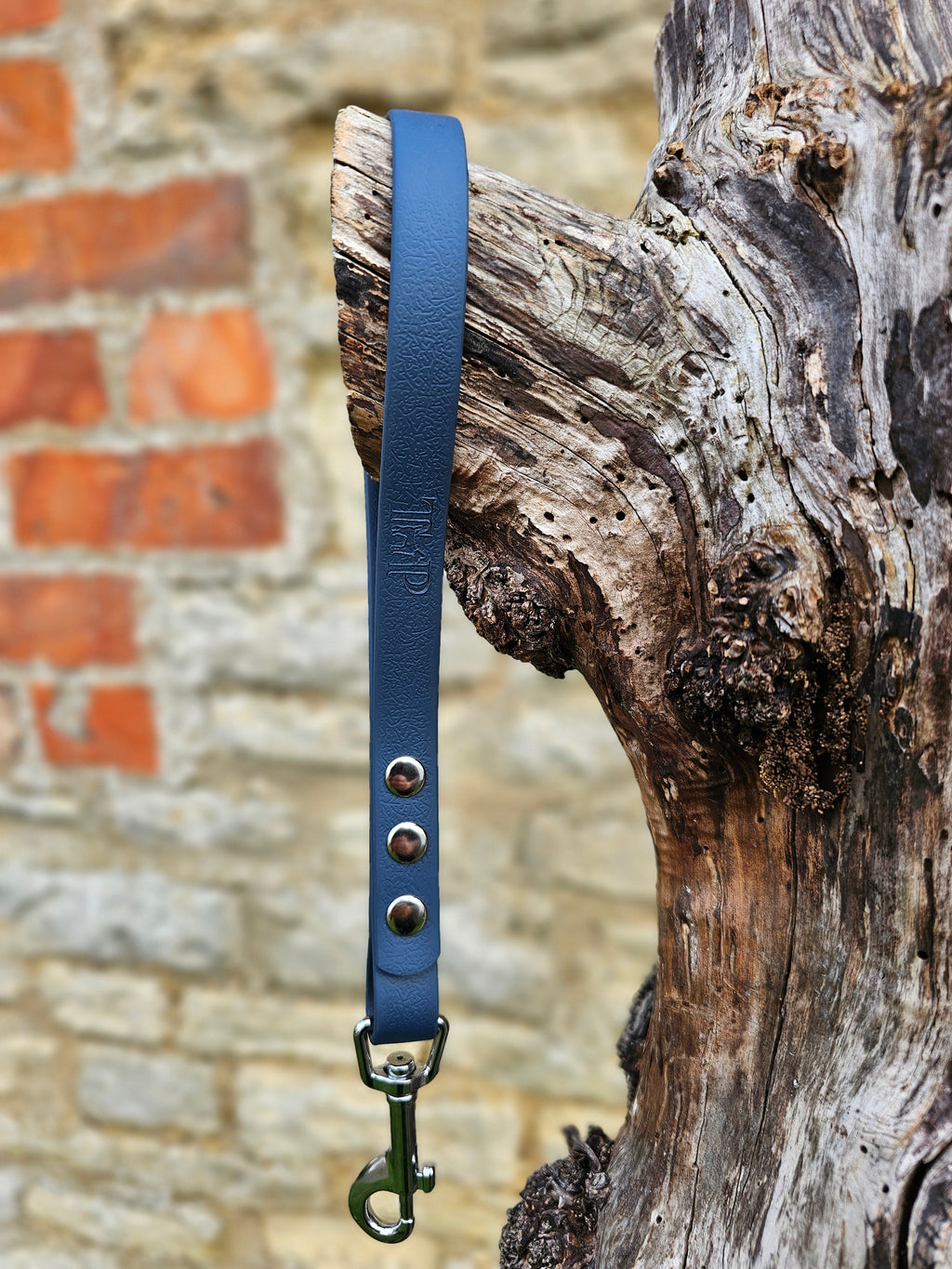 Kerosene - Classic Waterproof Webbing Short Dog Control Lead / Dog Traffic Handle