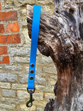 Sky Blue - Classic Waterproof Webbing Short Dog Control Lead / Dog Traffic Handle