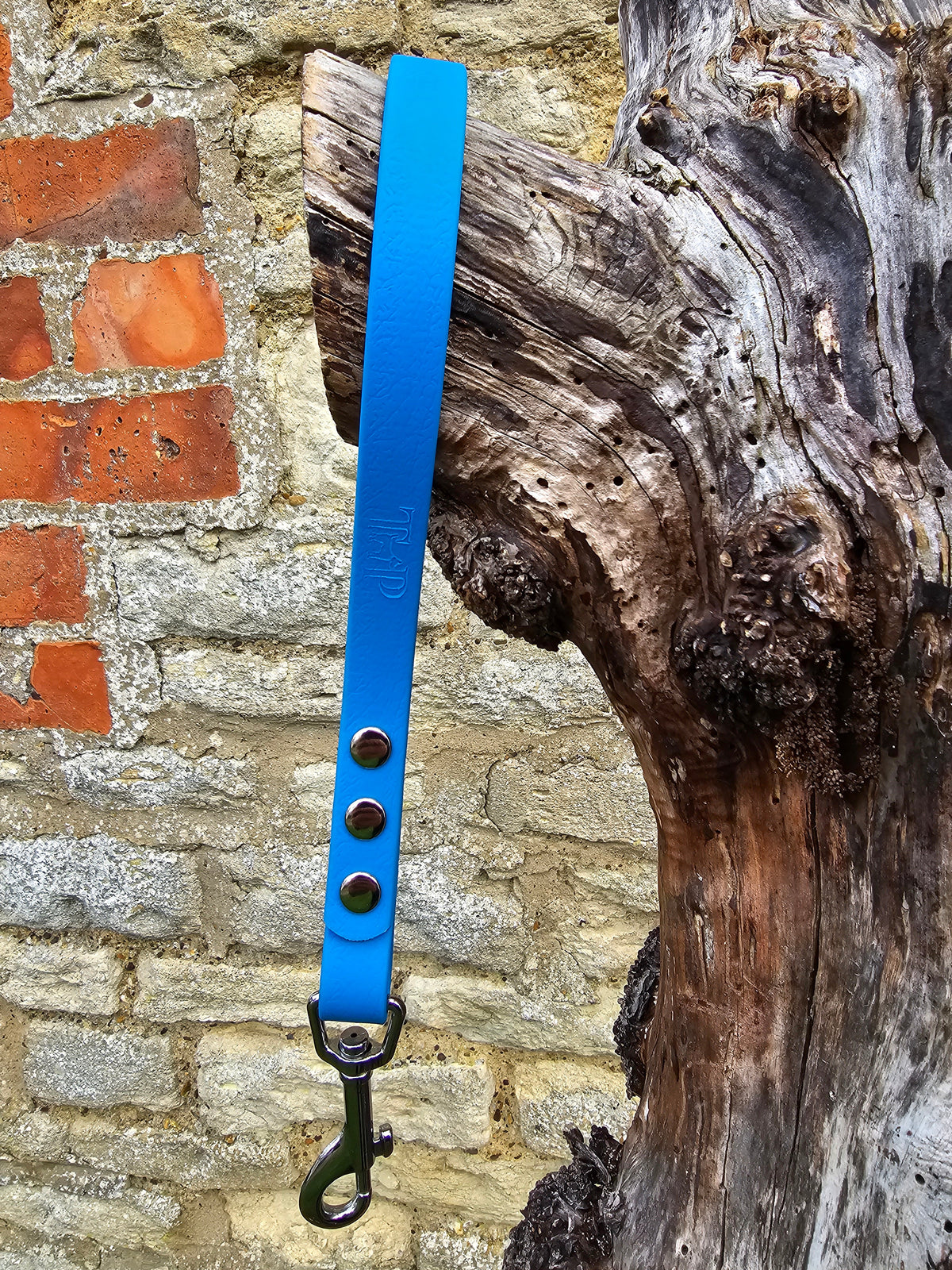 Sky Blue - Classic Waterproof Webbing Short Dog Control Lead / Dog Traffic Handle