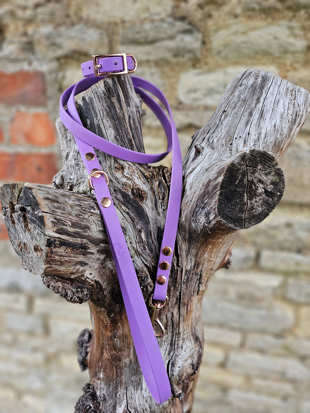Amethyst - Waterproof BioThane© Dinky Dog Lead