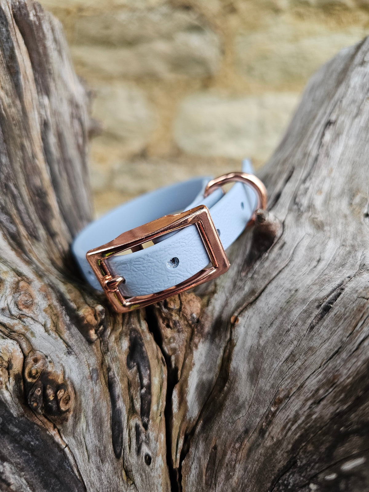 Pastel Blue - Waterproof BioThane© Dinky Dog Collar