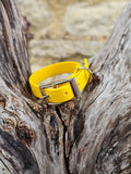 Yellow - Waterproof BioThane© Dinky Dog Collar