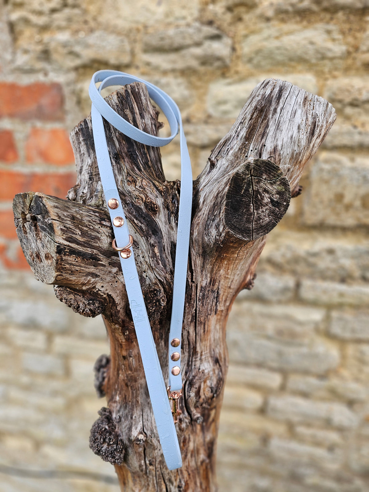 Pastel Blue - Waterproof BioThane© Dinky Dog Lead