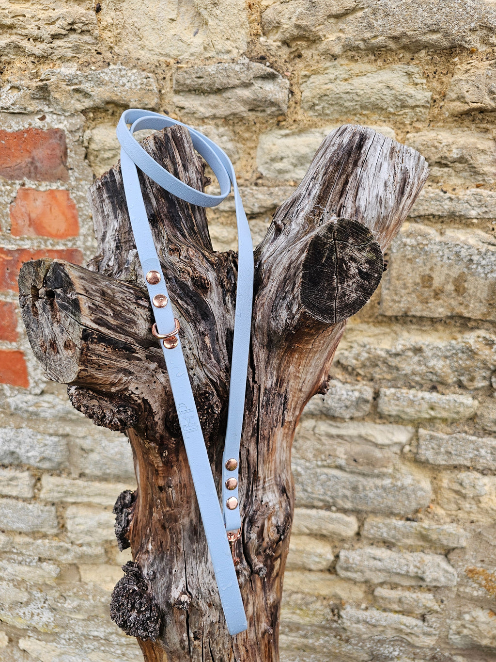 Pastel Blue - Waterproof BioThane© Dinky Dog Lead