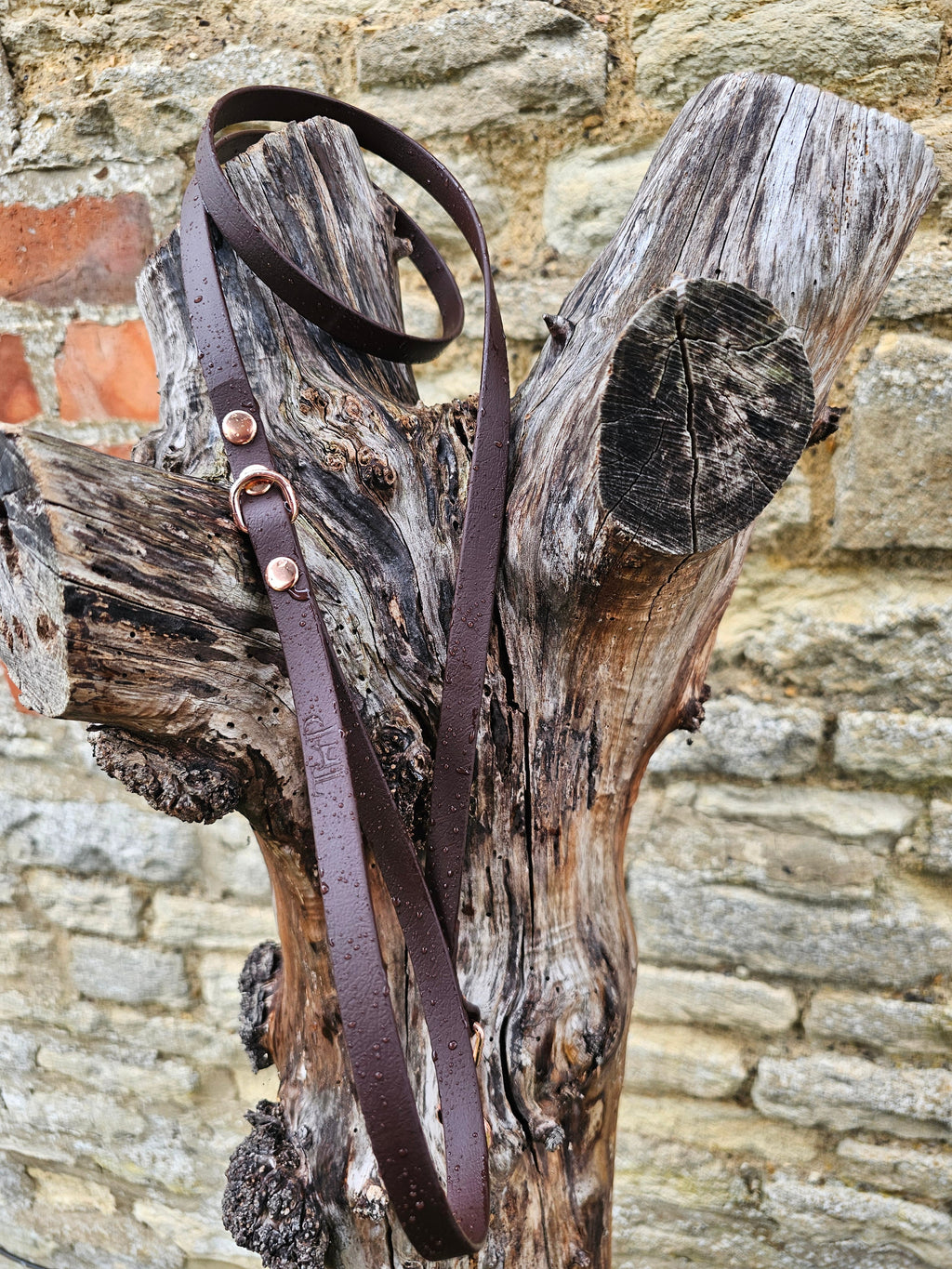 Dark Brown - Waterproof BioThane© Dinky Dog Lead