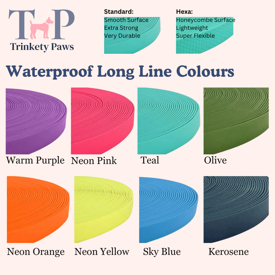 Kerosene - Classic Waterproof Webbing Dog Long Line Lead
