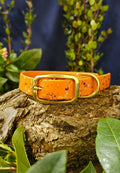 Celestial Burnt Orange - Biothane Splatter Dog Collar