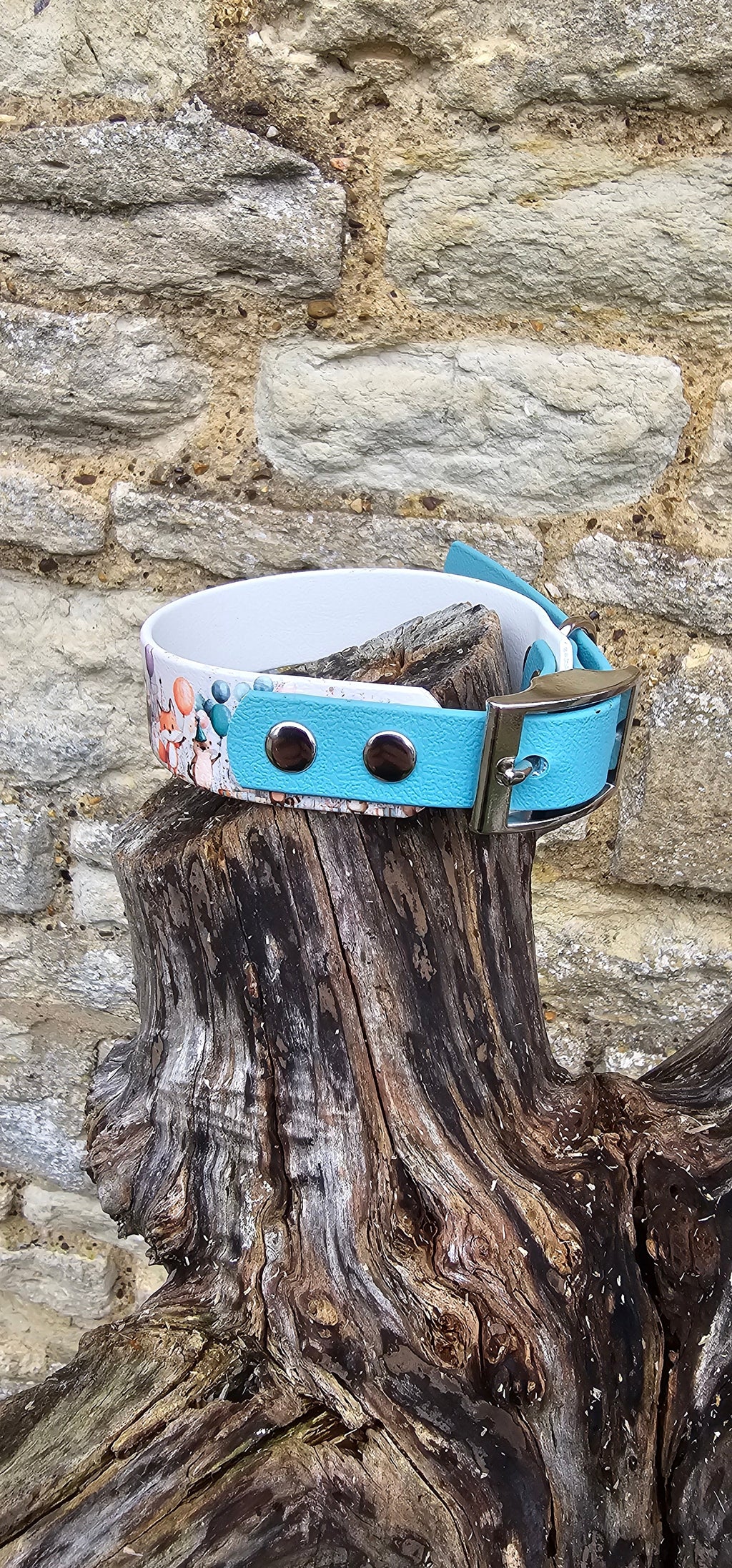Woodland Party Boy - Printed Waterproof BioThane© Dog Collar