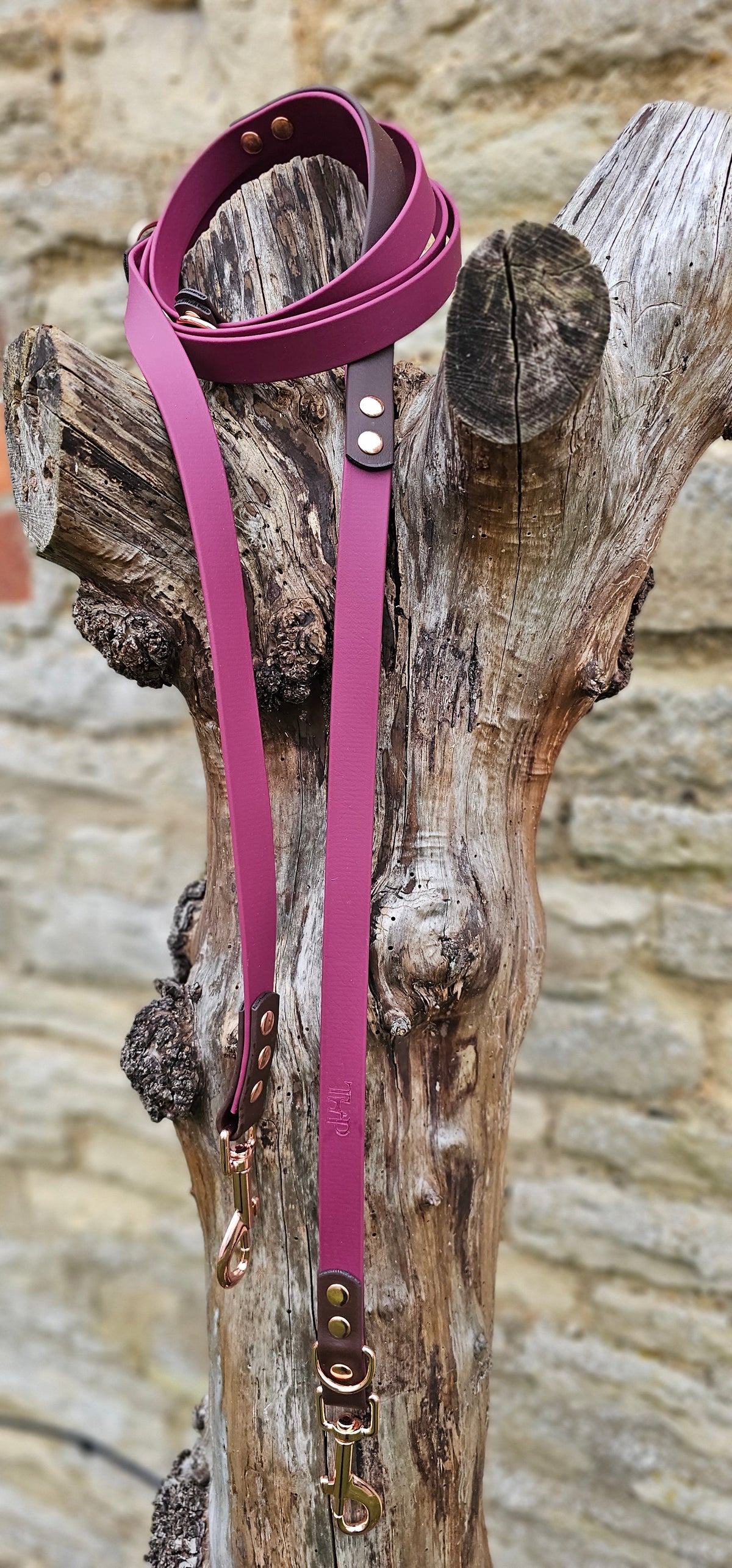 Burgundy & Dark Brown - Waterproof BioThane© handsfree Dog Training Lead