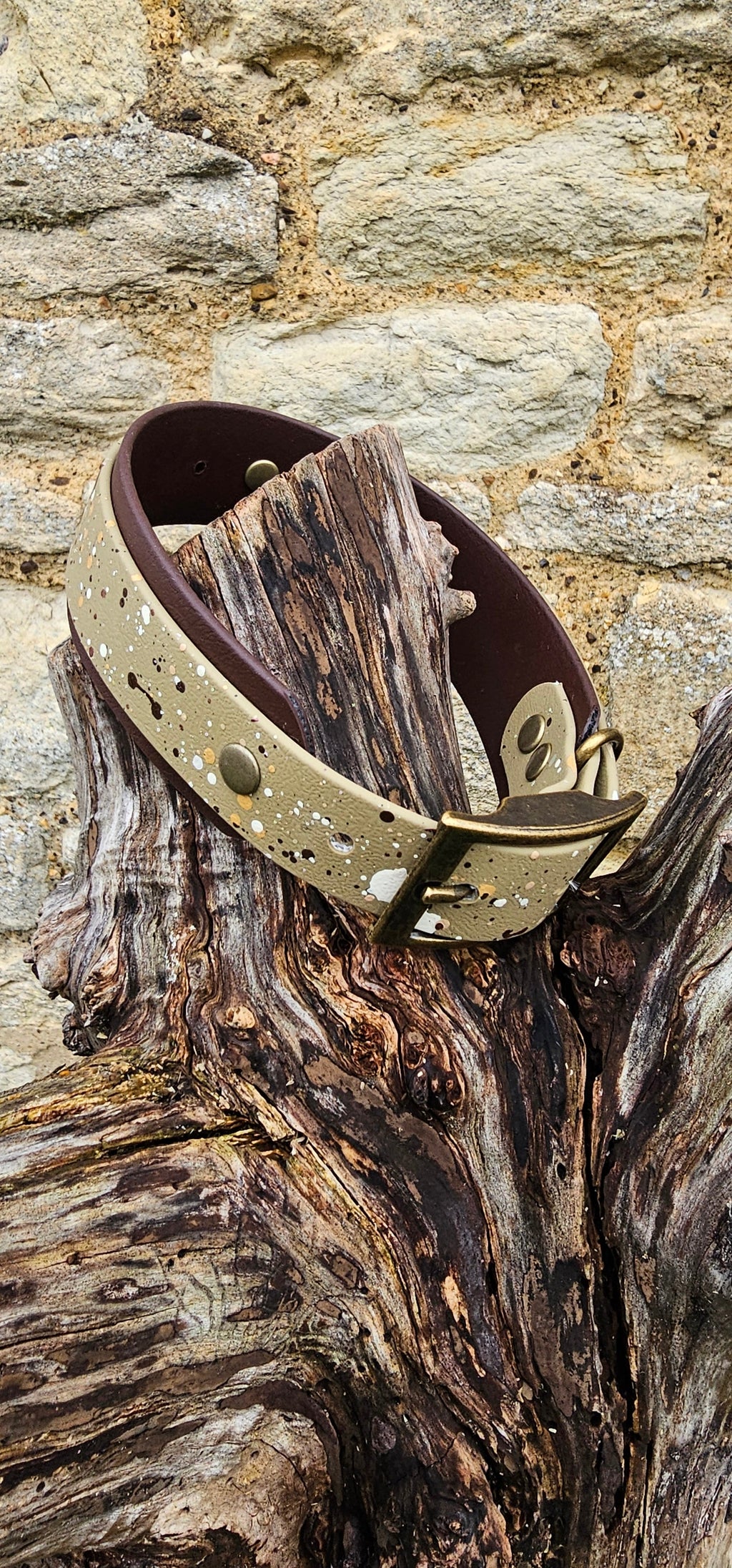 Canyon Trail - Statement Splatter Wrap Waterproof BioThane© Dog Collar