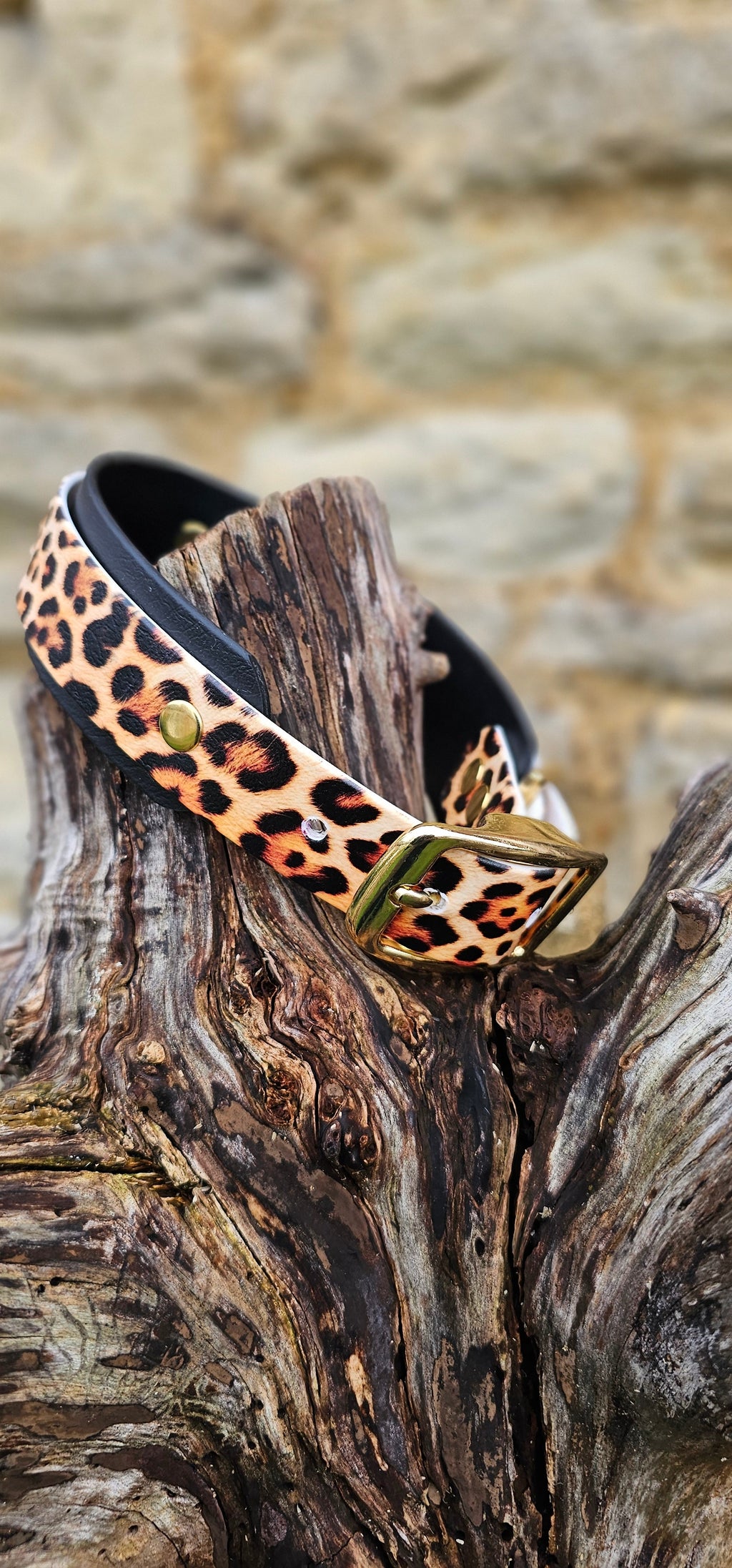 Urban Leopard - Statement Wrap Printed Waterproof BioThane© Dog Collar