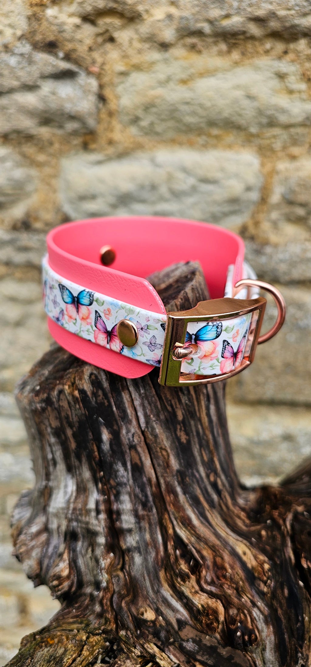 Butterfly Burst - Statement Wrap Printed Waterproof BioThane© Dog Collar