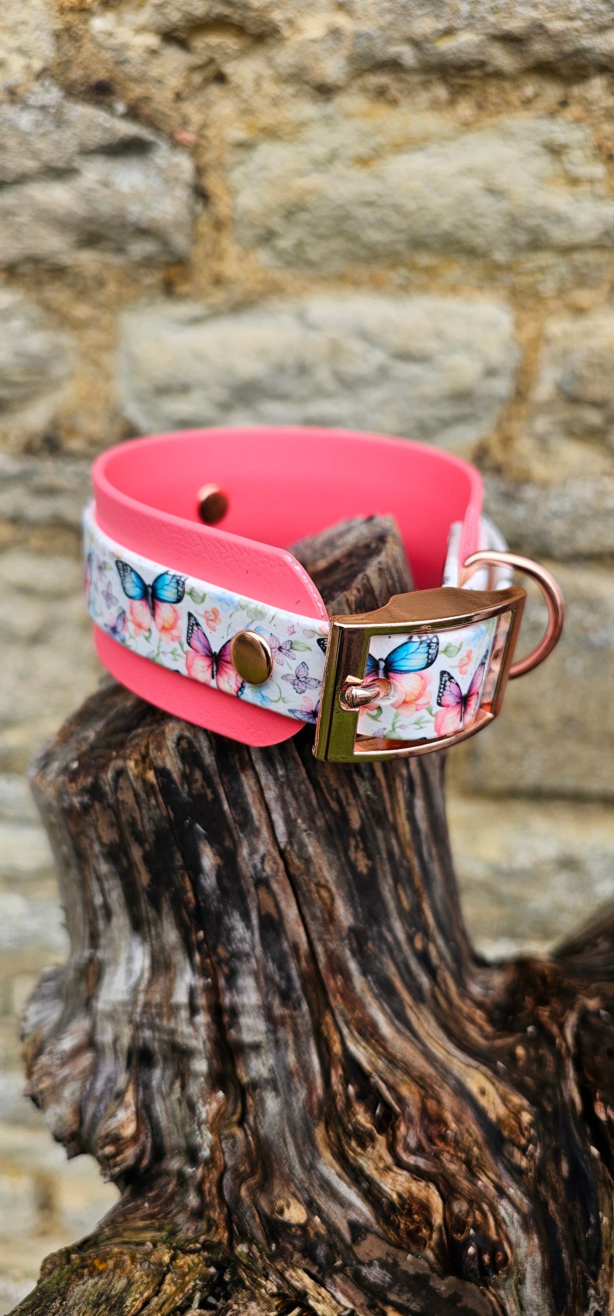 Butterfly Burst - Statement Wrap Printed Waterproof BioThane© Dog Collar