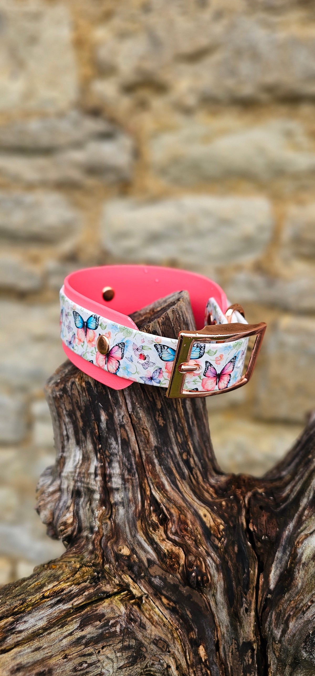 Butterfly Burst - Statement Wrap Printed Waterproof BioThane© Dog Collar
