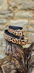 Urban Leopard - Statement Wrap Printed Waterproof BioThane© Dog Collar