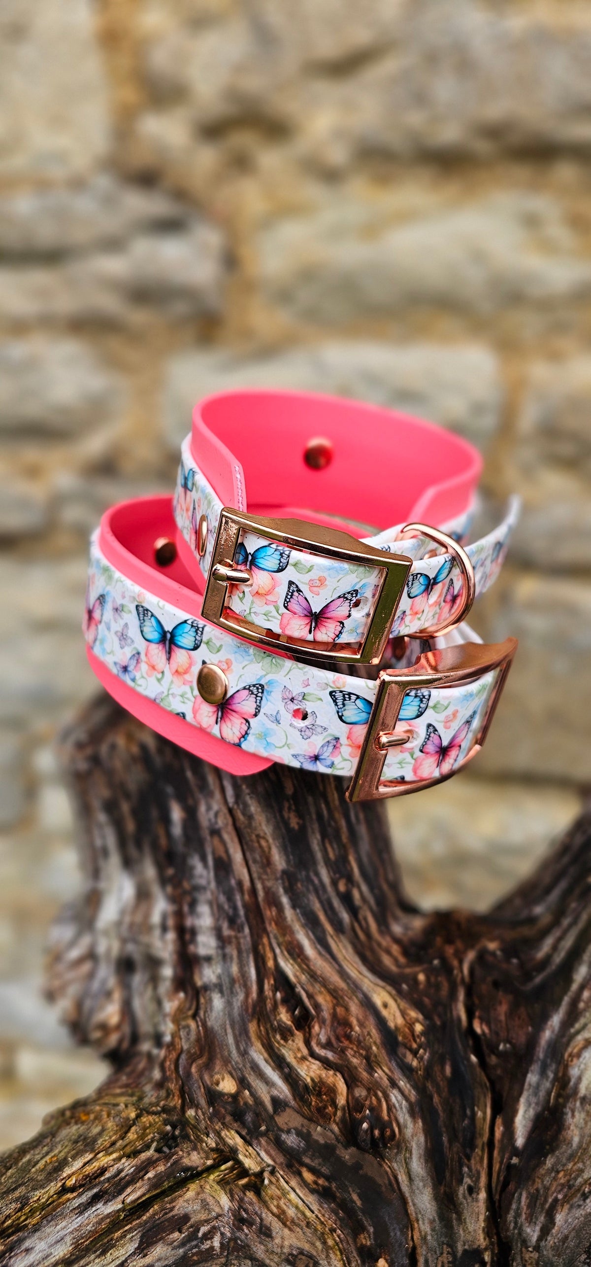 Butterfly Burst - Statement Wrap Printed Waterproof BioThane© Dog Collar
