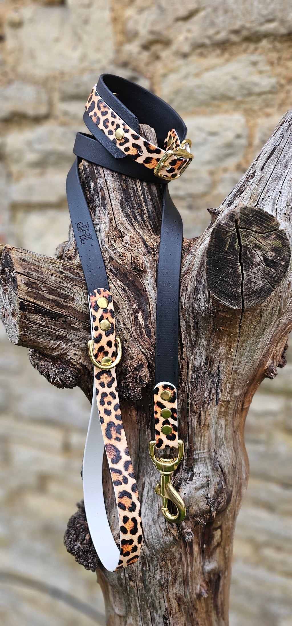 Urban Leopard - Statement Wrap Printed Waterproof BioThane© Dog Collar