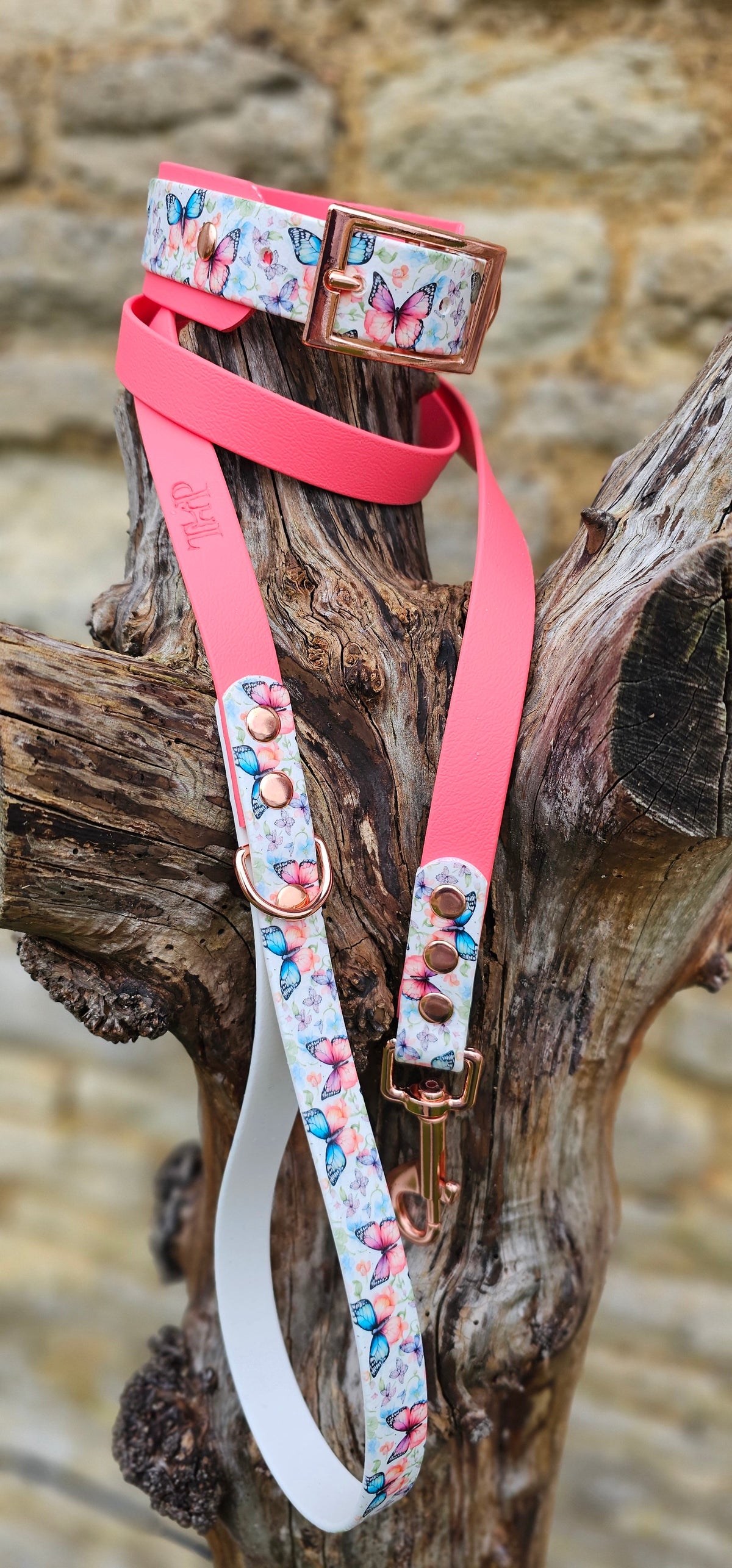 Butterfly Burst - Statement Wrap Printed Waterproof BioThane© Dog Collar