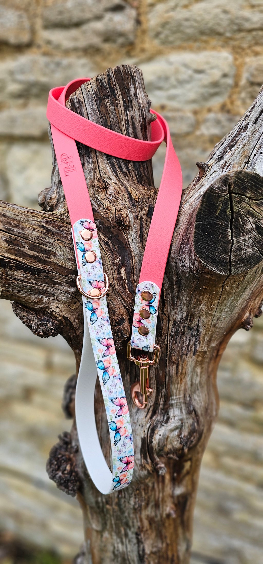 Butterfly Burst - Printed Waterproof BioThane© Dog Lead