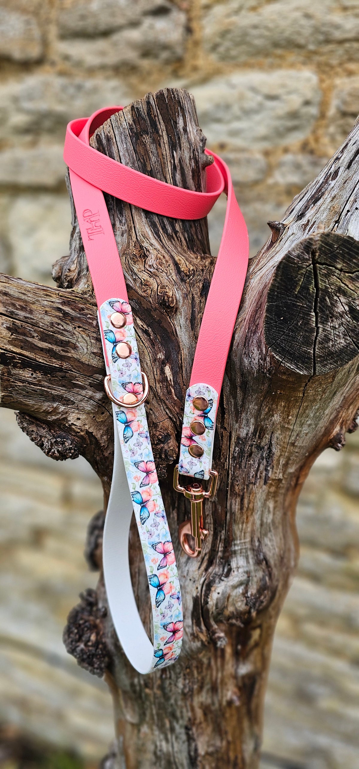 Butterfly Burst - Printed Waterproof BioThane© Dog Lead
