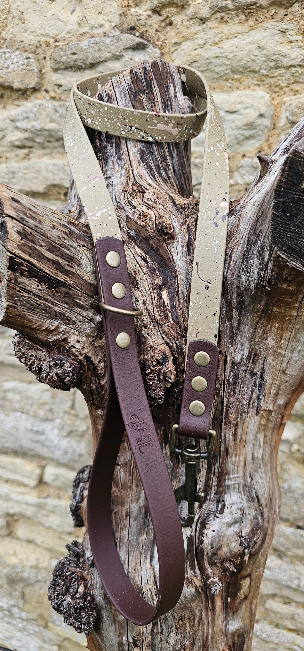 Canyon Trail - Waterproof BioThane© Splatter Dog Lead
