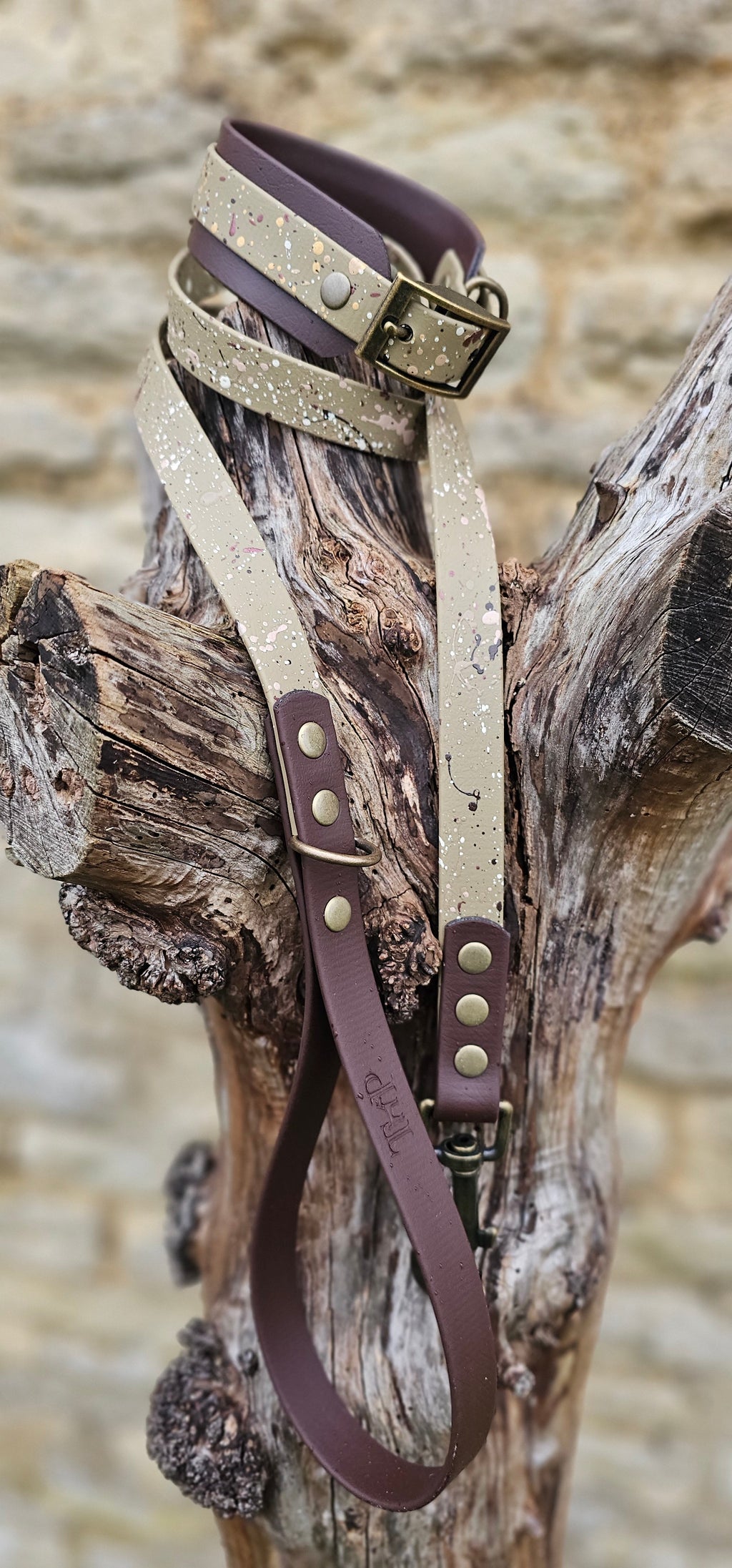 Canyon Trail - Statement Splatter Wrap Waterproof BioThane© Dog Collar