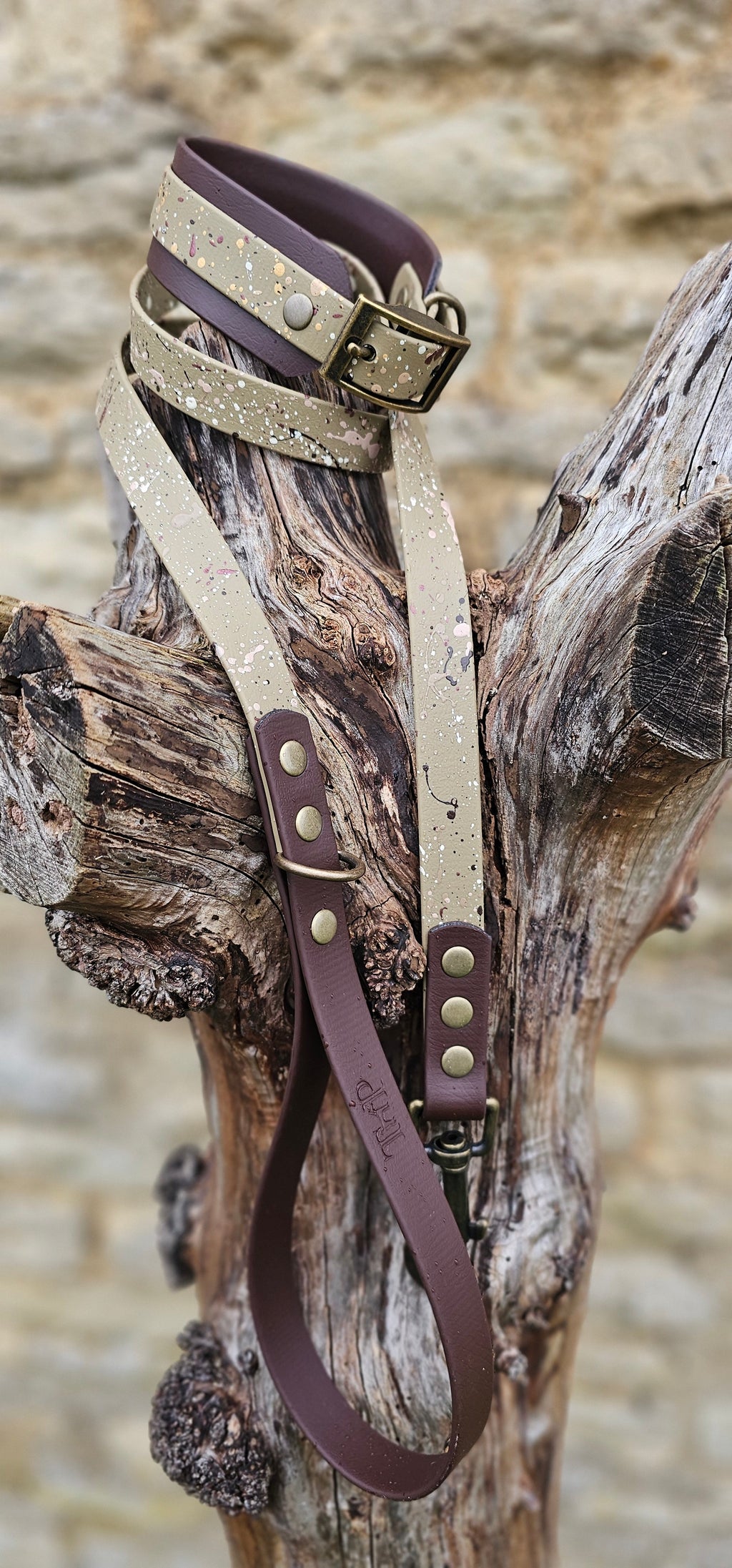 Canyon Trail - Waterproof BioThane© Splatter Dog Lead