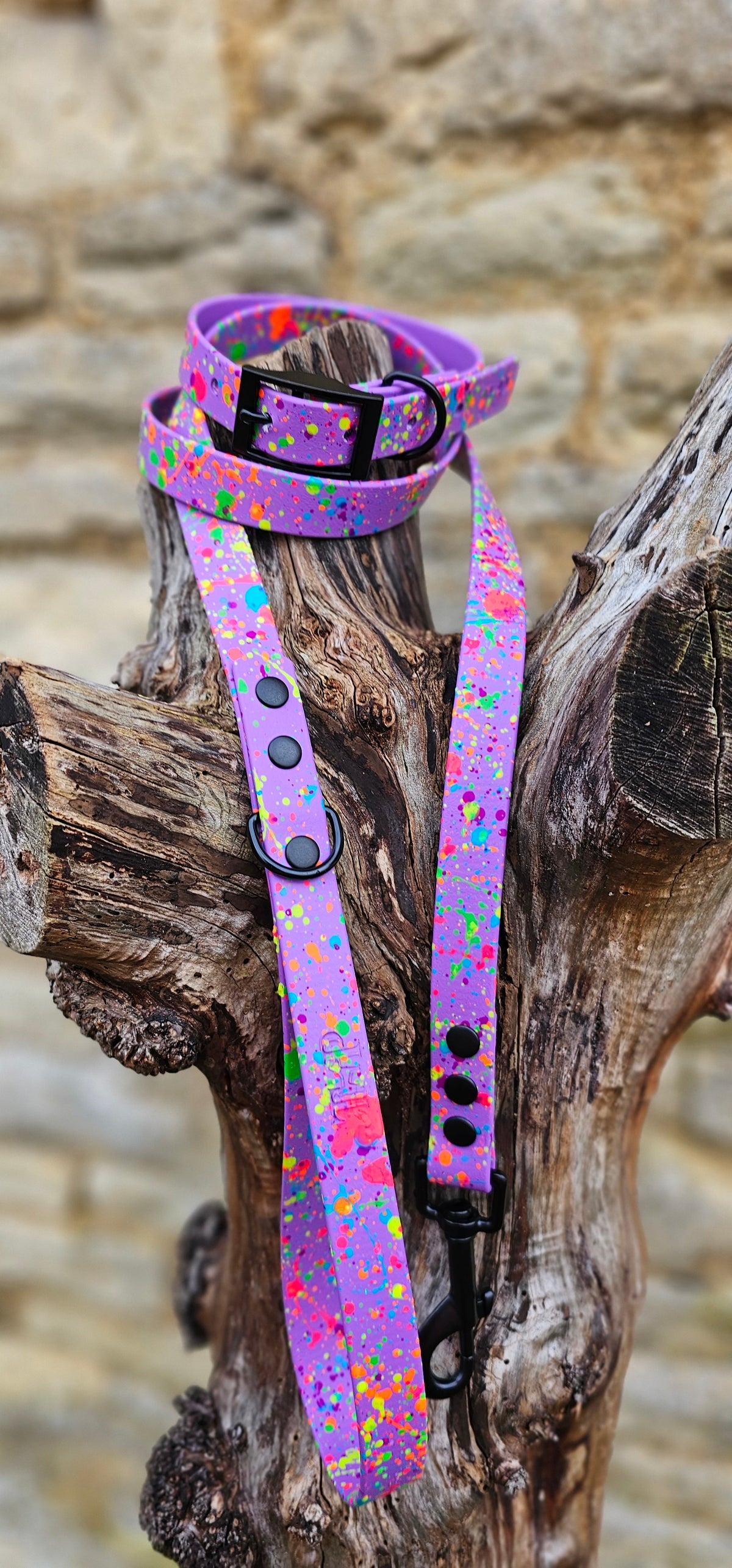 Amethyst - Waterproof BioThane© Neon Splatter Dog Collar