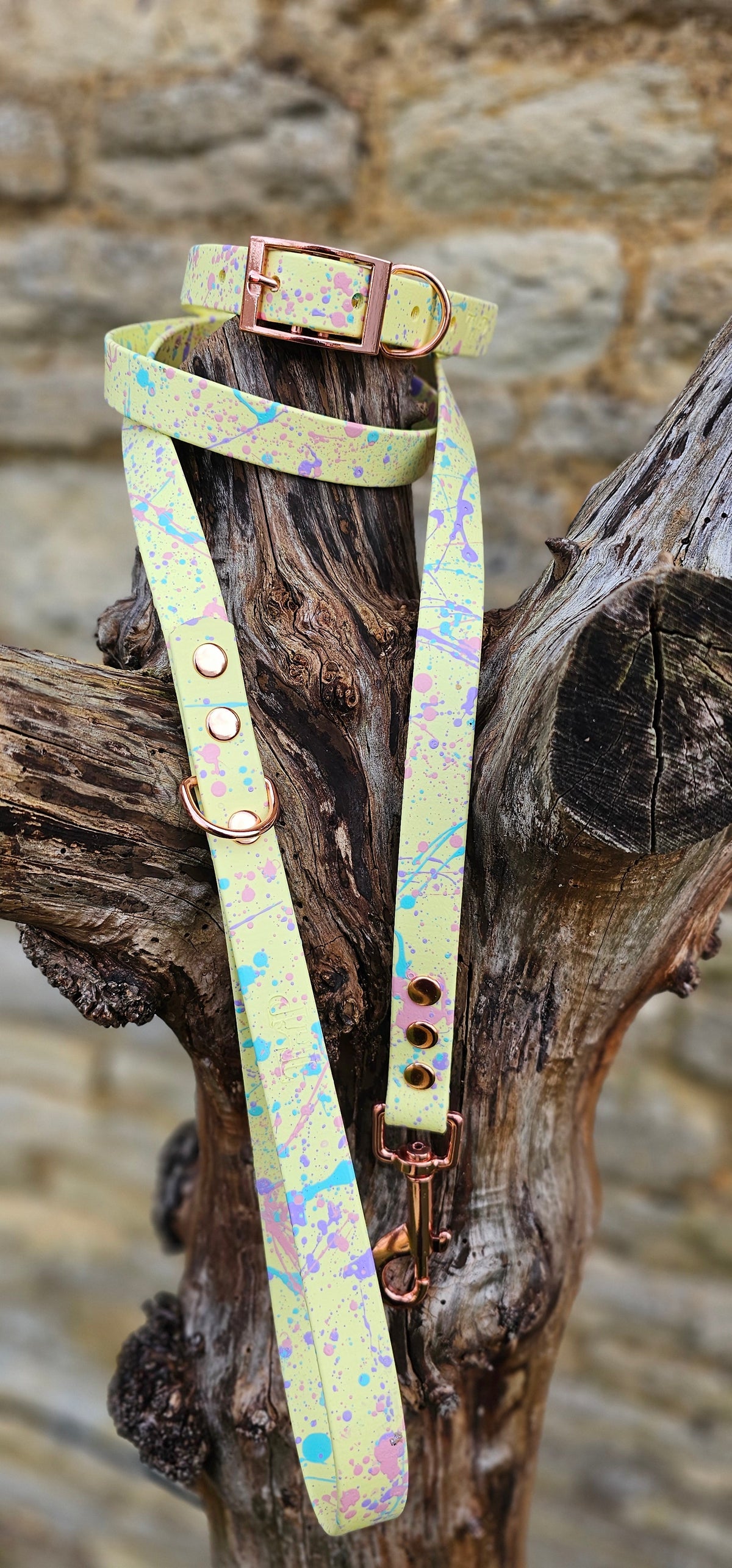 Lemon - Waterproof BioThane© Pastel Splatter Dog Collar