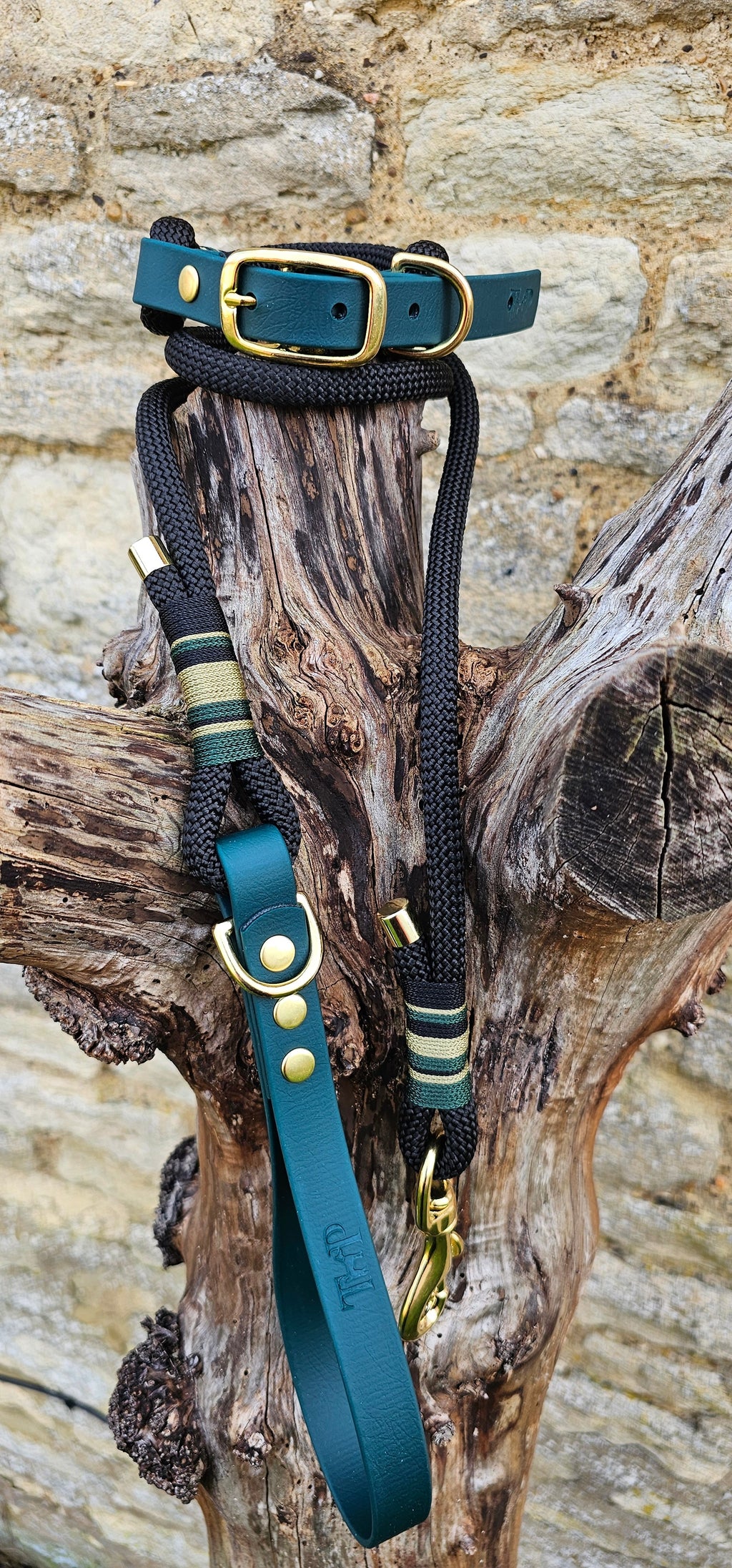 Buckingham - Premium Rope Dog Collar