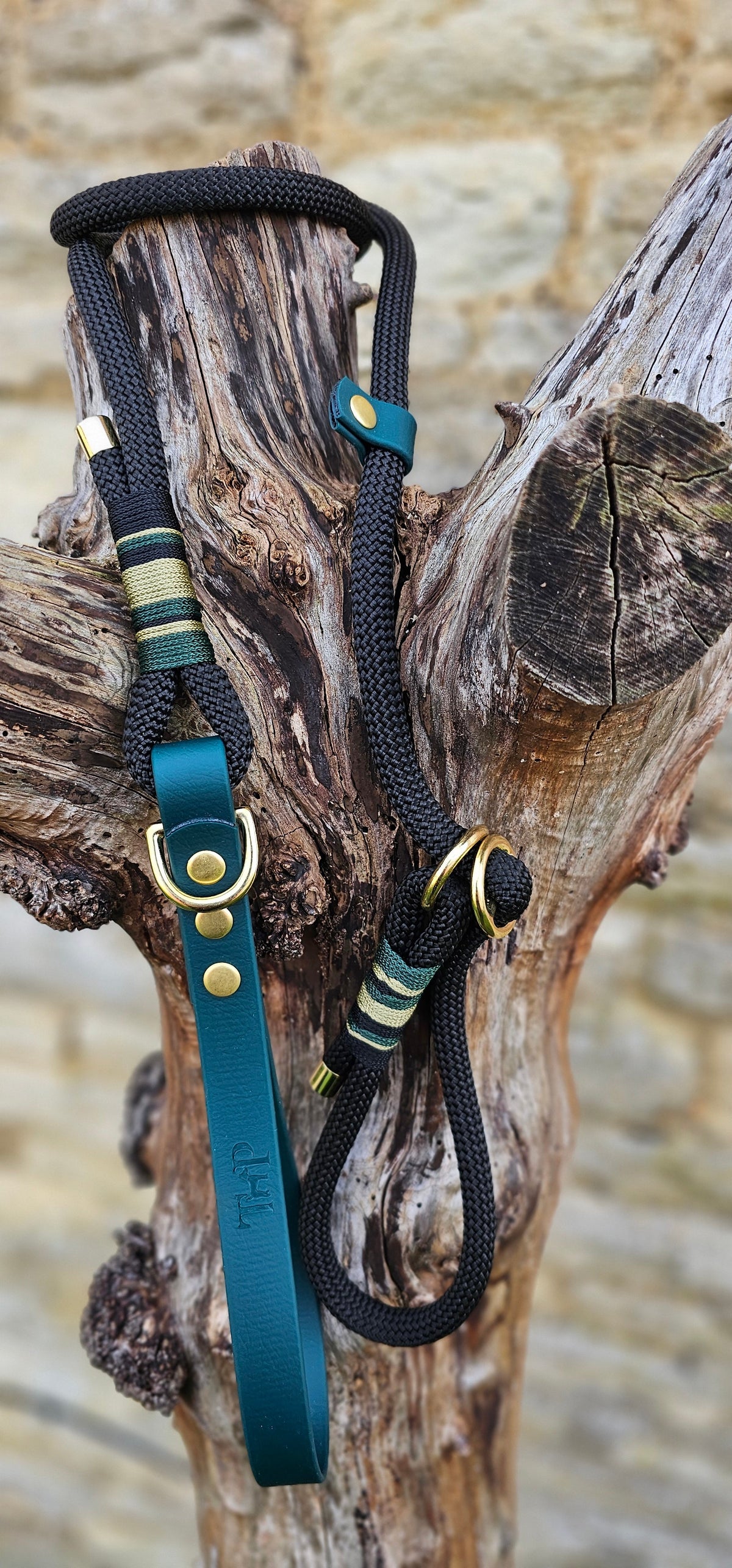 Buckingham - Premium Rope Slip Lead / Figure 8 Dog Lead