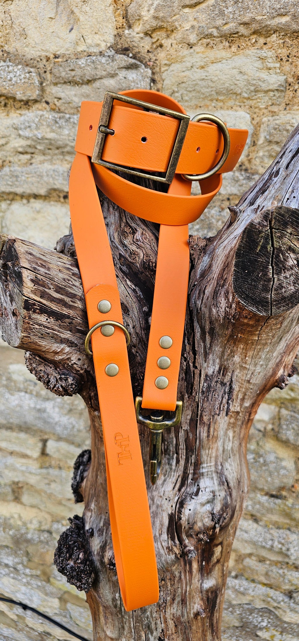 Burnt Orange - Mighty Paws Waterproof BioThane© Dog Collar