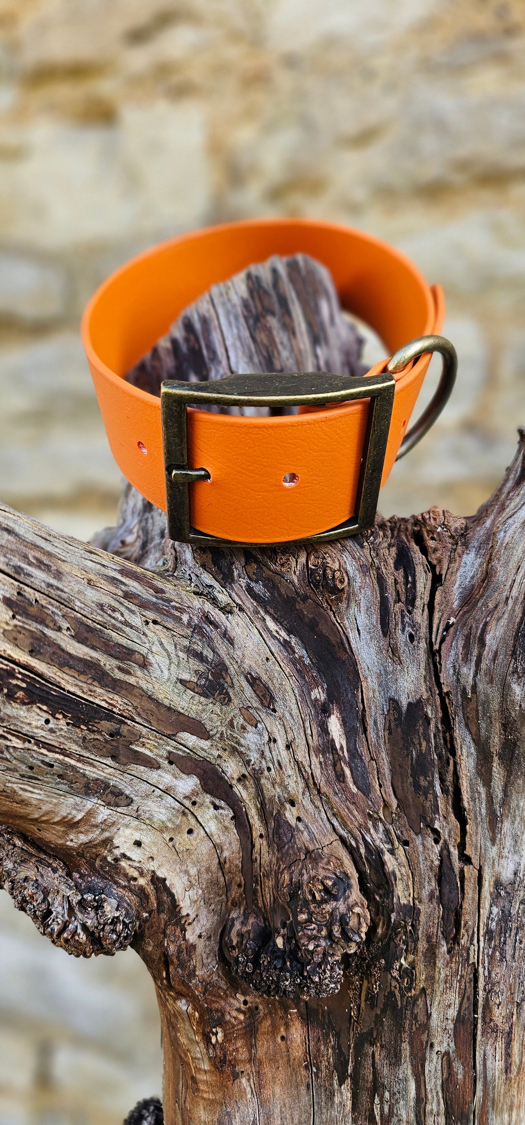 Burnt Orange - Mighty Paws Waterproof BioThane© Dog Collar